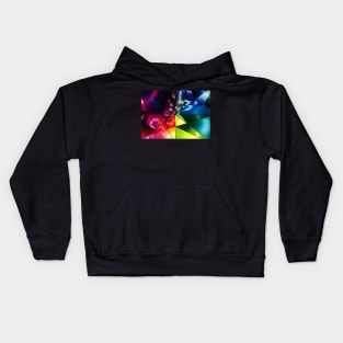 Shattered Rainbow Triangles optical art Kids Hoodie